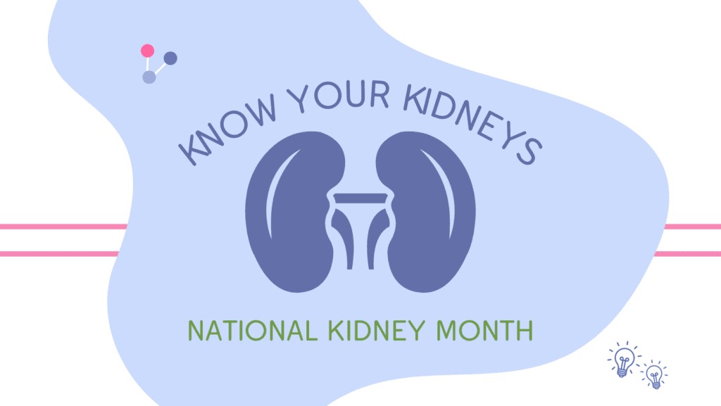 7 Important Parts of your Kidney, Explained