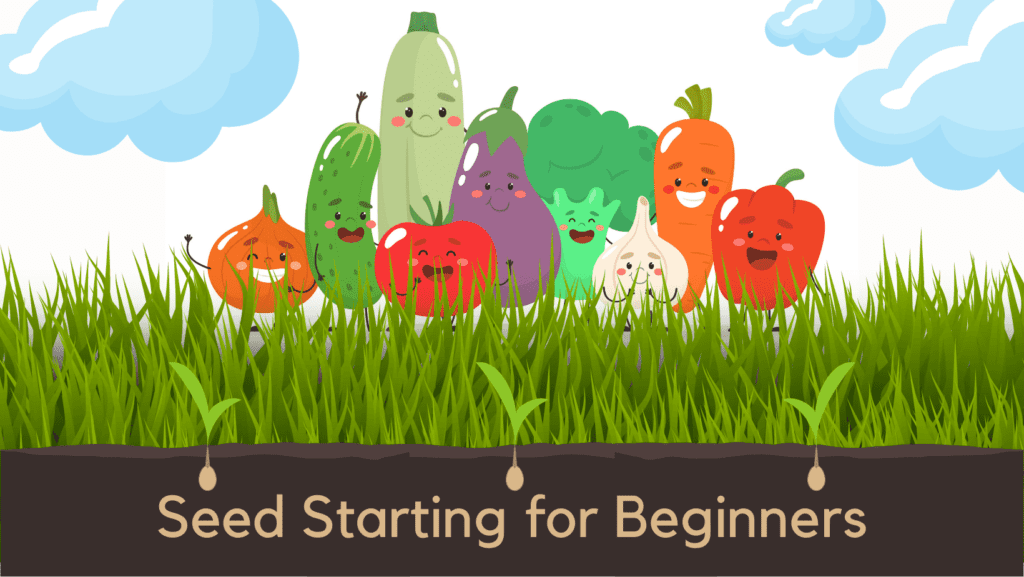 Seed Starting for Beginners