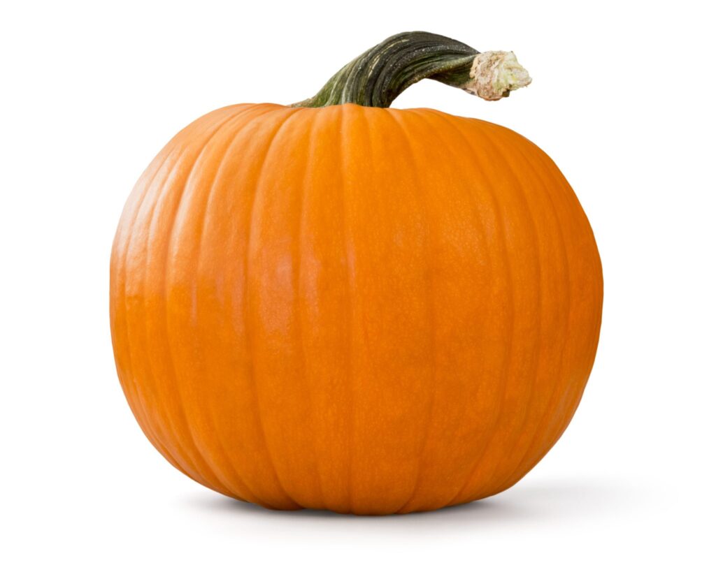 pumpkin